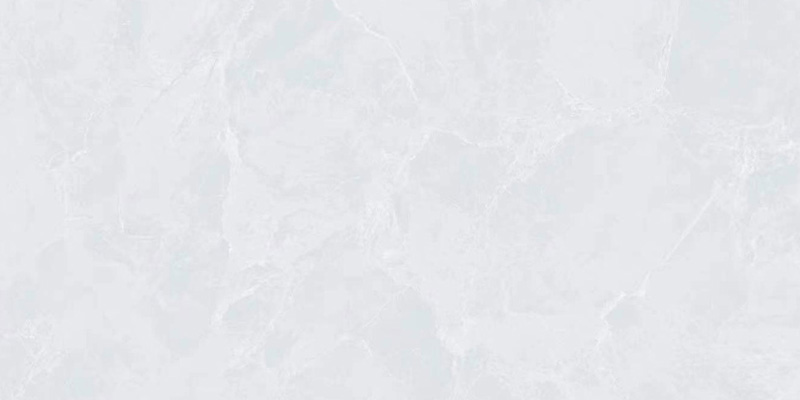 AML468H06