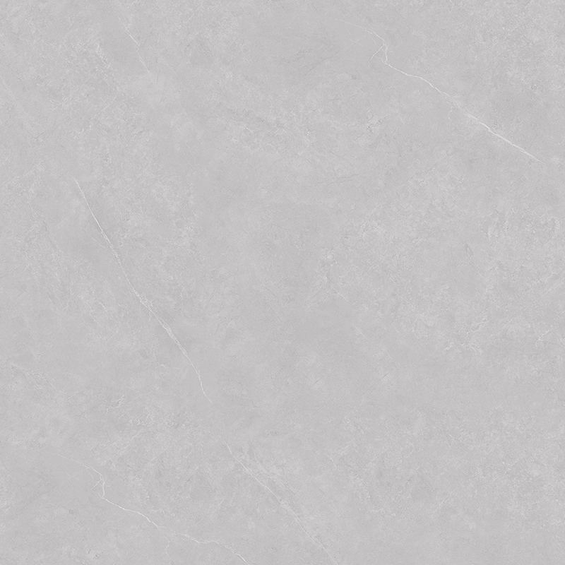 AM89H005