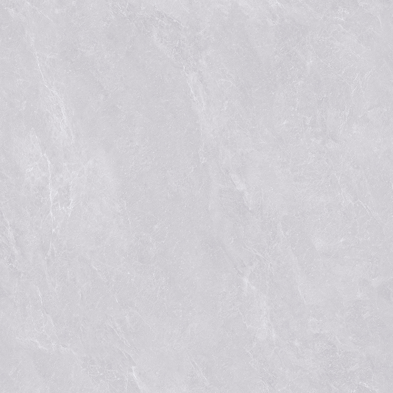 AML82H021